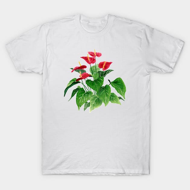 August 25th birthday flower T-Shirt by birthflower